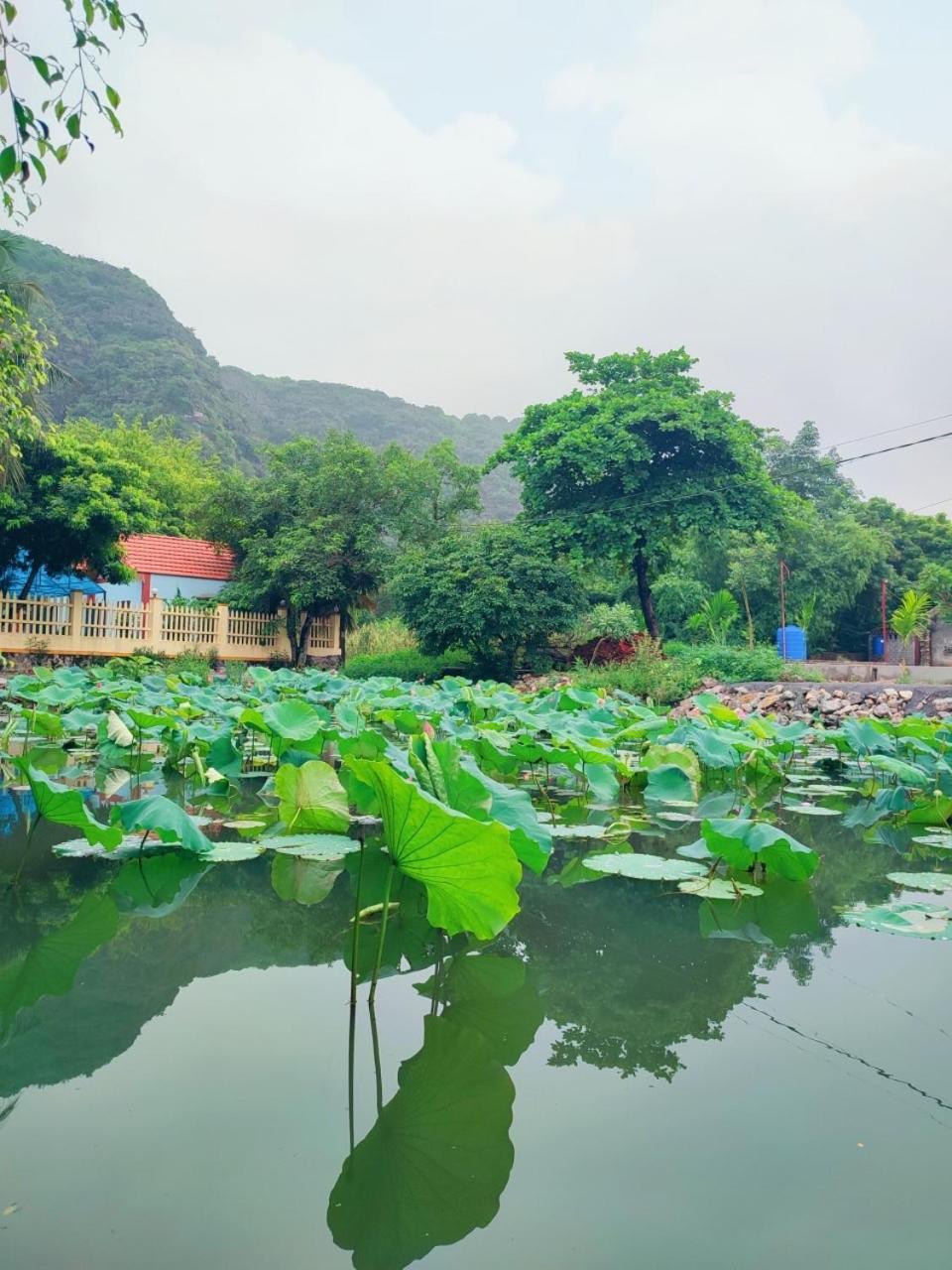 Trang An Natural Mountainside Homestay Ninh Bình Kültér fotó