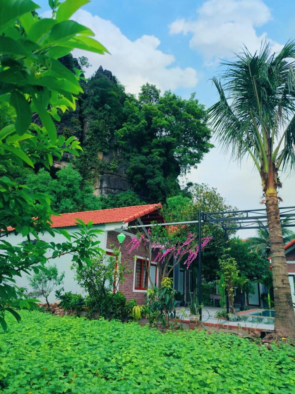 Trang An Natural Mountainside Homestay Ninh Bình Kültér fotó