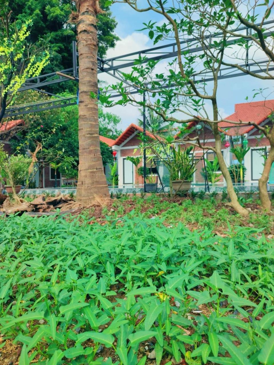 Trang An Natural Mountainside Homestay Ninh Bình Kültér fotó