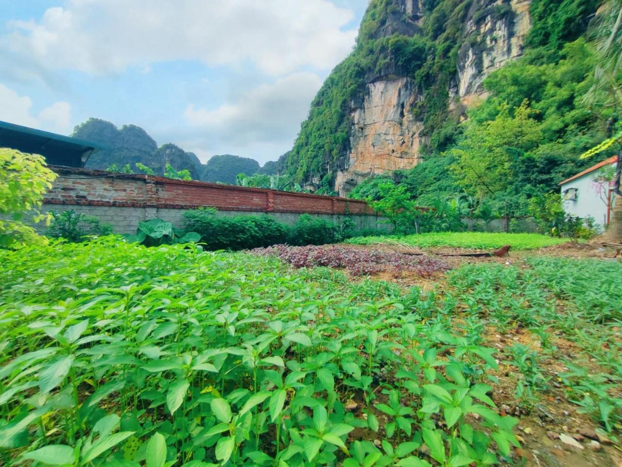 Trang An Natural Mountainside Homestay Ninh Bình Kültér fotó