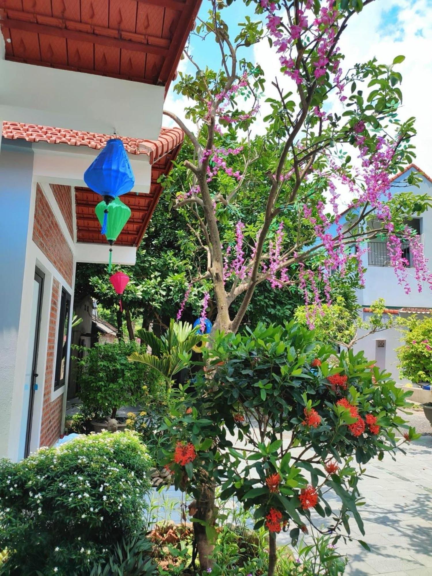 Trang An Natural Mountainside Homestay Ninh Bình Kültér fotó